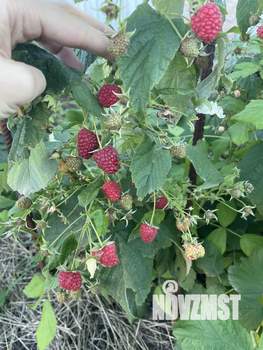 Коттедж 109м², 1-этажный, участок 10 сот.