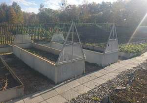 Дом 20м², 1-этажный, участок 20 сот.