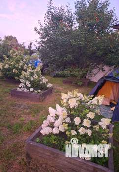 Дом 101м², 1-этажный, участок 12 сот.