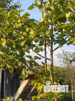 Дом 20м², 1-этажный, участок 9 сот.