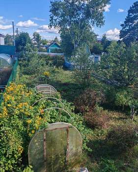 Дом 40м², 1-этажный, участок 40 сот.