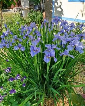 Дом 30м², 1-этажный, участок 8 сот.