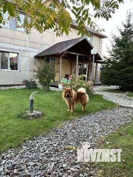 Коттедж 162м², 2-этажный, участок 9 сот.