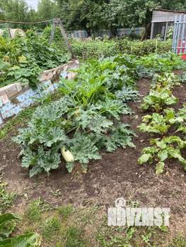 Дом 20м², 1-этажный, участок 9 сот.