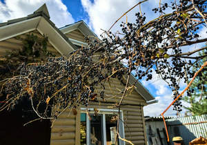 Дом 30м², 1-этажный, участок 7 сот.