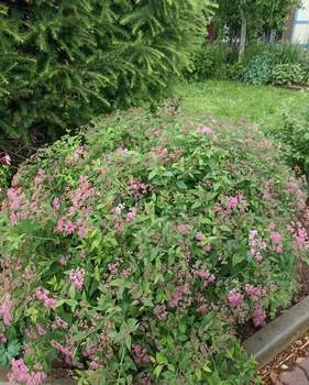 Дом 30м², 1-этажный, участок 8 сот.