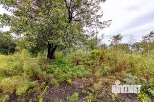 Дом 43м², 1-этажный, участок 6 сот.