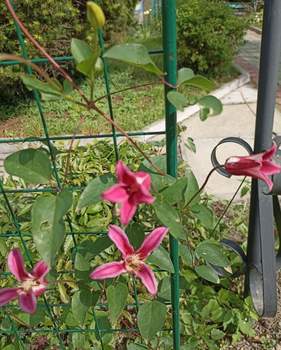 Дом 30м², 1-этажный, участок 8 сот.