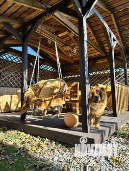 Коттедж 162м², 2-этажный, участок 9 сот.