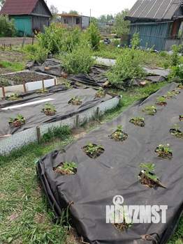 Дом 4м², 1-этажный, участок 4 сот.