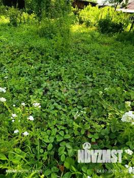 Дом 36м², 1-этажный, участок 6 сот.