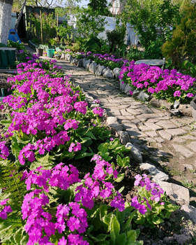 Дом 30м², 1-этажный, участок 7 сот.