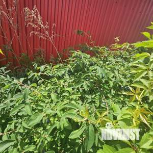 Коттедж 126м&sup2;, 2-этажный, участок 8 сот.  