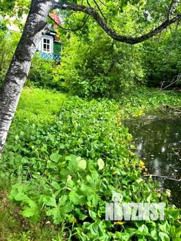 Дом 50м&sup2;, 1-этажный, участок 5 сот.  