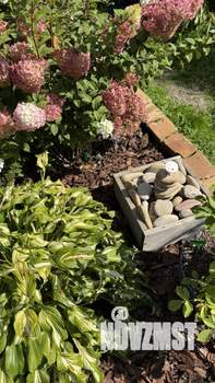 Дом 60м², 2-этажный, участок 8 сот.  