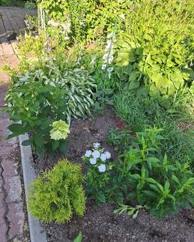 Дом 30м&sup2;, 1-этажный, участок 8 сот.  