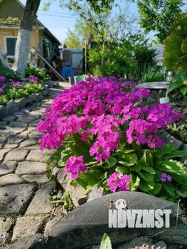 Дом 30м&sup2;, 1-этажный, участок 7 сот.  