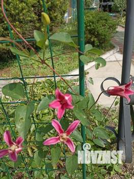 Дом 30м², 1-этажный, участок 8 сот.  