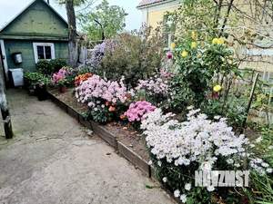 Дом 54м&sup2;, 1-этажный, участок 8 сот.  