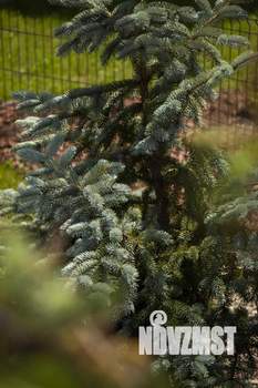 Таунхаус 133м&sup2;, 2-этажный, участок 1 сот.  