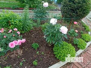 Дом 30м², 1-этажный, участок 8 сот.  