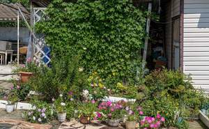 Дом 65м&sup2;, 1-этажный, участок 65 сот.  