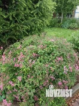 Дом 30м&sup2;, 1-этажный, участок 8 сот.  