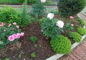 Дом 30м&sup2;, 1-этажный, участок 8 сот.  