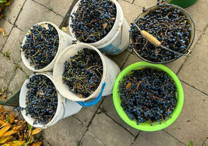 Дом 30м&sup2;, 1-этажный, участок 7 сот.  