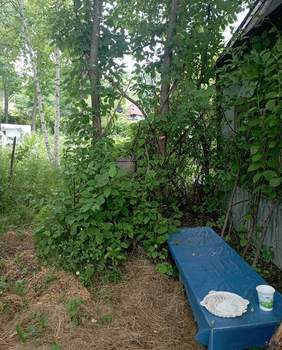 Дом 32м², 2-этажный, участок 6 сот.  