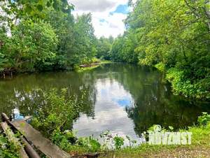 Дом 50м&sup2;, 1-этажный, участок 5 сот.  