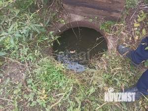 Дом 10м&sup2;, 1-этажный, участок 10 сот.  