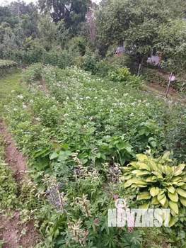 Дом 30м&sup2;, 2-этажный, участок 8 сот.  