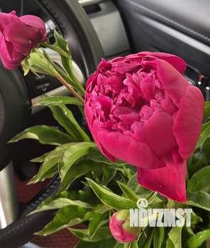 Дом 20м&sup2;, 2-этажный, участок 6 сот.  