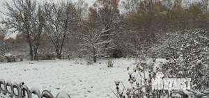 Дом 18м&sup2;, 1-этажный, участок 10 сот.  