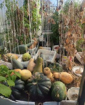 Дом 20м&sup2;, 1-этажный, участок 20 сот.  