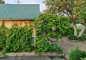 Дом 30м&sup2;, 1-этажный, участок 7 сот.  