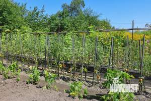 Дом 48м&sup2;, 1-этажный, участок 4 сот.  