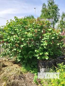 Дом 20м&sup2;, 1-этажный, участок 6 сот.  