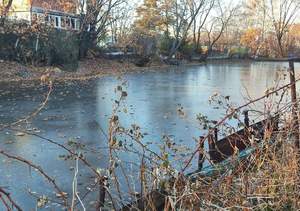 Дом 20м&sup2;, 1-этажный, участок 20 сот.  