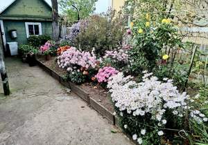 Дом 54м², 1-этажный, участок 8 сот.  