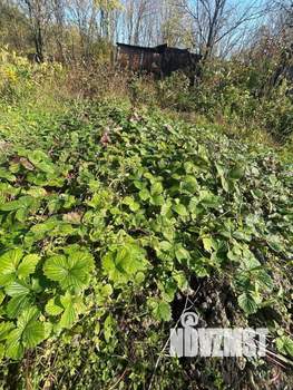 Дом 12м&sup2;, 1-этажный, участок 10 сот.  