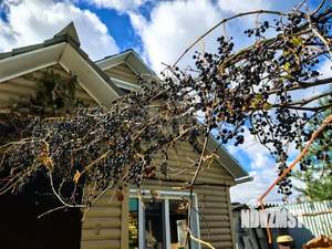 Дом 30м&sup2;, 1-этажный, участок 7 сот.  