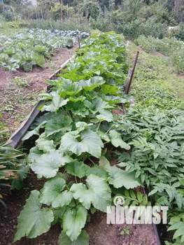 Дом 30м&sup2;, 2-этажный, участок 8 сот.  