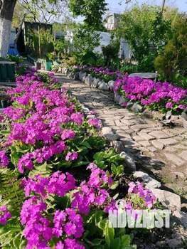 Дом 30м&sup2;, 1-этажный, участок 7 сот.  