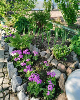 Дом 30м&sup2;, 1-этажный, участок 7 сот.  