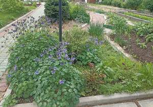 Дом 30м&sup2;, 1-этажный, участок 8 сот.  