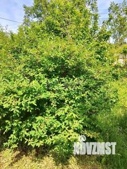 Дом 20м&sup2;, 1-этажный, участок 6 сот.  