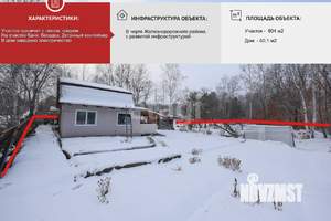 Дом 61м&sup2;, 2-этажный, участок 9 сот.  