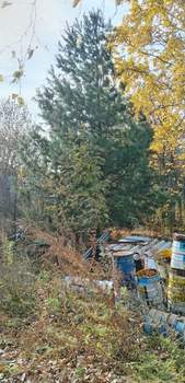 Дом 54м&sup2;, 11-этажный, участок 0 сот.  